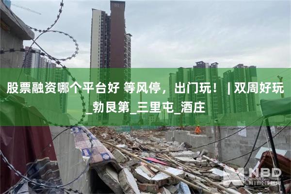 股票融资哪个平台好 等风停，出门玩！ | 双周好玩_勃艮第_三里屯_酒庄