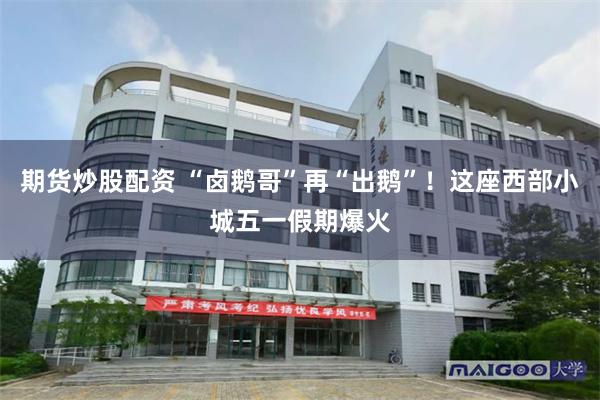 期货炒股配资 “卤鹅哥”再“出鹅”！这座西部小城五一假期爆火