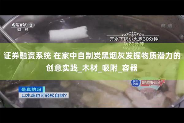 证券融资系统 在家中自制炭黑烟灰发掘物质潜力的创意实践_木材_吸附_容器