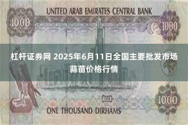 杠杆证券网 2025年6月11日全国主要批发市场蒜苗价格行情