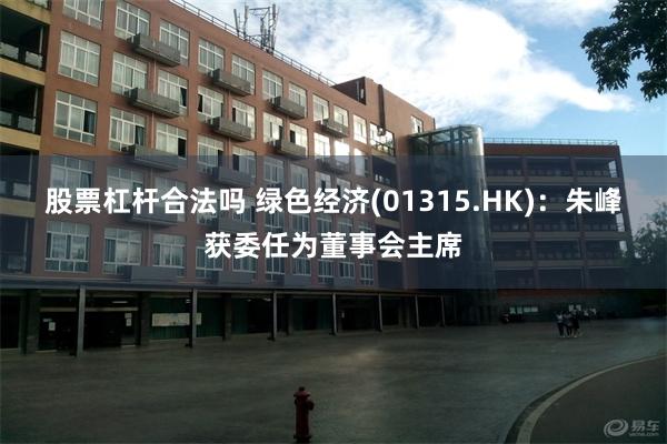 股票杠杆合法吗 绿色经济(01315.HK)：朱峰获委任为董事会主席