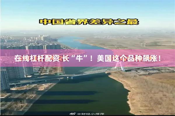 在线杠杆配资 长“牛”！美国这个品种飙涨！