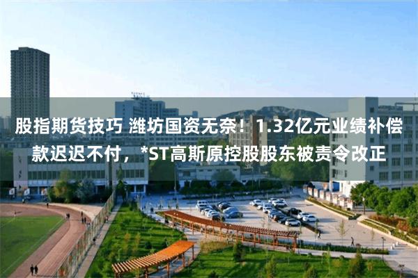 股指期货技巧 潍坊国资无奈！1.32亿元业绩补偿款迟迟不付，*ST高斯原控股股东被责令改正
